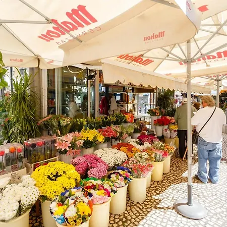 Loto Y Liz By Cadiz4rentals Appartamento Cadice