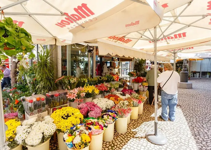 Loto Y Liz By Cadiz4rentals Lägenhet Cádiz